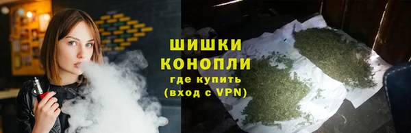 твердый Мегион