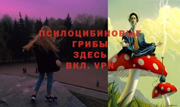 твердый Мегион