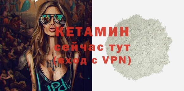твердый Мегион