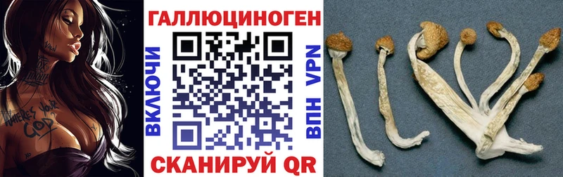 кракен ССЫЛКА  Коммунар  Галлюциногенные грибы Psilocybine cubensis  как найти наркотики 