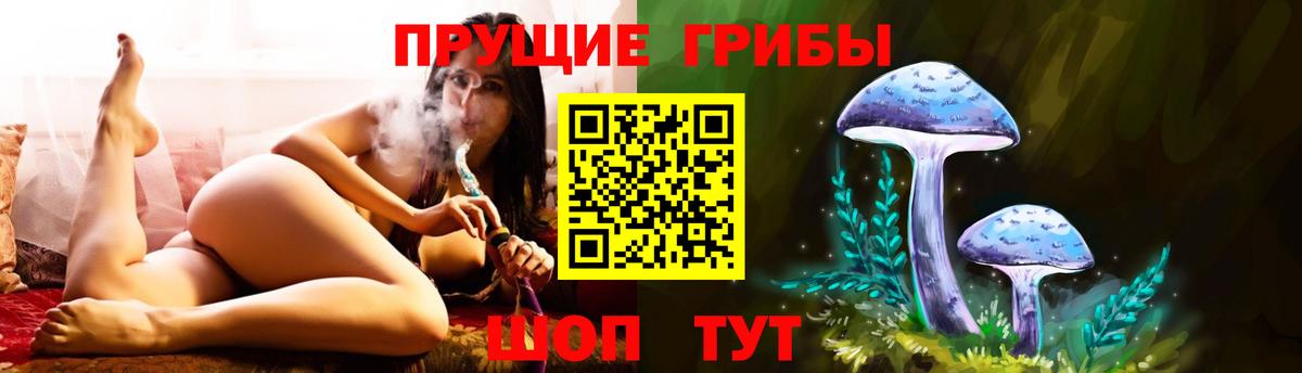 Галлюциногенные грибы ЛСД Коммунар
